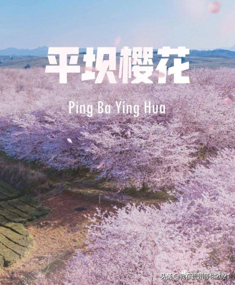双人跨栏赛跑